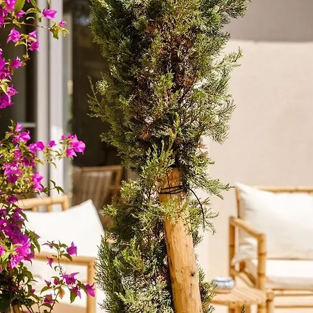 Villa Luxurious New Pool Golf St Tropez *